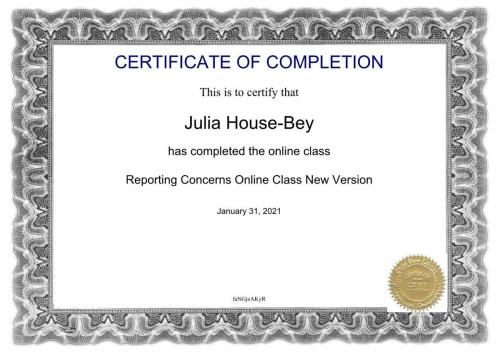 Reporting-Concerns-Online-Training-Certificate 31JAN202 1